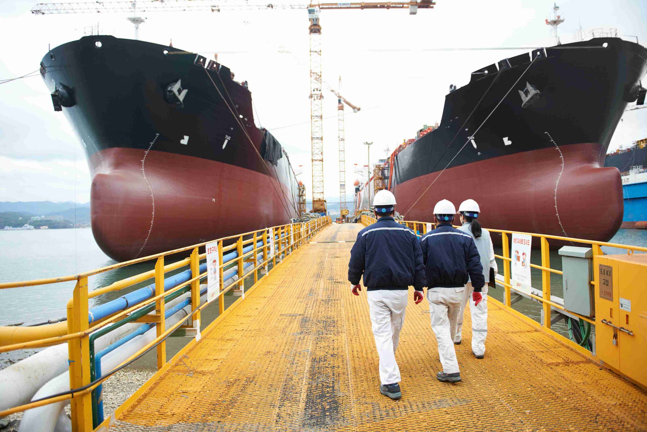 Vessel Vetting